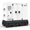 Дизельный генератор PowerLink GMS45PX в кожухе с АВР Дизельный генератор PowerLink GMS45PX в кожухе с АВР